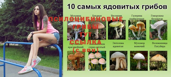 трава Ростов