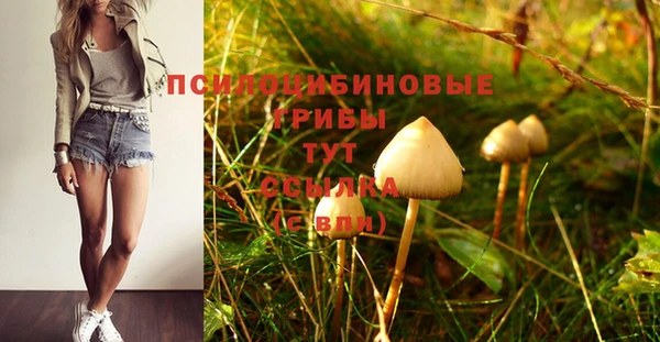 трава Ростов